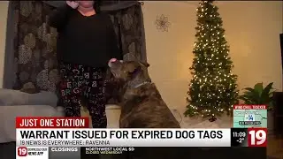 Ravenna woman says clerical error led to her arrest for expired dog tags