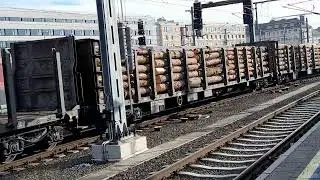 GKB Lok, Güterzug, Holzladung, Graz Hbf, Steiermark, Austria 