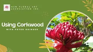 Using Corkwood with Peter Rainger