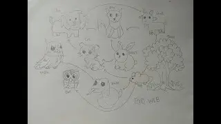 Easy drawing of food web.