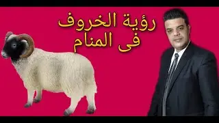 رؤية الخروف في المنام