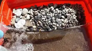 SEDIMENTADOR