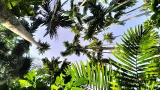 #NBNF Kannada