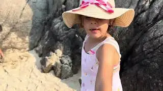 Beach fun, crabs, seashells, snails 🥰 #summer 