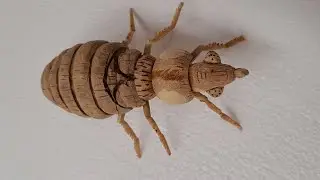 bedbug from bamboo 