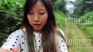 [ Joy in West Africa ] I saw butterflies in the rainforest of Bia National Park