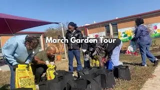 SG#2 March Garden Tour 2025: Planting Strawberries, Grow Bag Trellis & Seed Starting