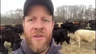 Josh Teagues talks about the Total Grazing Academy