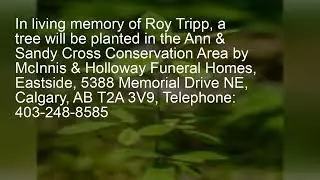 In Loving Memory of Roy Tripp &mdash; Calgary, AB &mdash; October 4, 2025