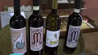 Dalla Terra alla Tavola - Coldiretti Cuneo #02