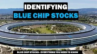 Blue Chip Stocks - Explained 2022