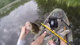 Hidden Backwater Big Bass!!
