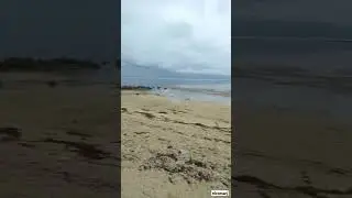 Watch Early morning in beach