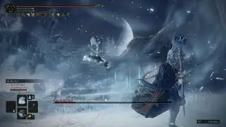 ELDEN RING Sorcerer cooperation vs Death Rite Bird