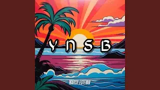 YNSB