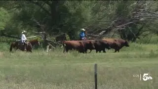 Rodeo offers connection to Colorado's ranching heritage