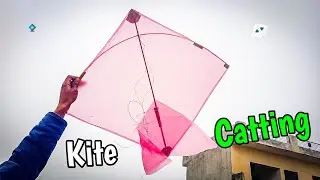 🪁 Kite Cutting Challenge - DAY 49
