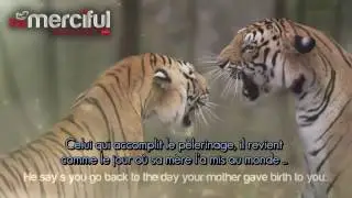 RAPPEL FORT   L appel d Allah !.mp4