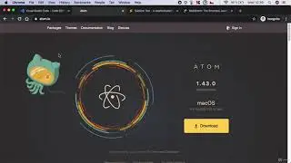Automated  Software Testing with Puppeteer - 1.2. Editors