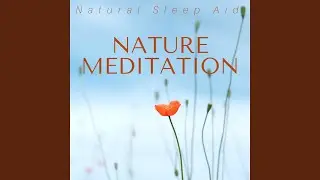 Wellness Background