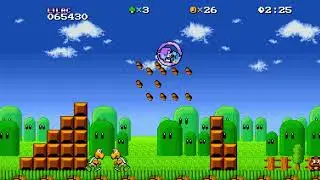 Прохождение Sonic Boll 1.9.3 за Lilac: Часть 1