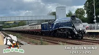 The Golden Hind 1Z94 + 1Z95 - 11th July 2024