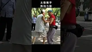 太极推手 | 势均力敌 | Tai Chi Tui Shou #shorts