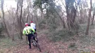 la sdricca parte 2