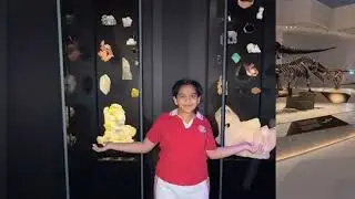 Natural History Museum Abu Dhabi - Evolution, Fossils & Time #thelaibalens #ytviral  #ytvideos 