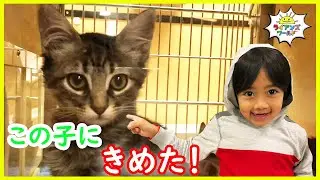 ライアンがアメリカの大型ペットショップに行ってきたよ！