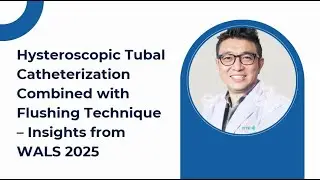 Hysteroscopic Tubal Catheterization Combined with Flushing Technique &ndash; Insights from WALS 2025