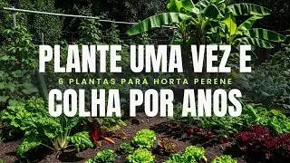 Plante Uma Vez e Colha por Anos: 6 Plantas Para Horta Perene