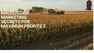 MAIZE CORN MARKETING SECRETS FOR MAXIMUM PROFITS SESSION 2: Tutorial: Florence Alimo: Living Hope Mi
