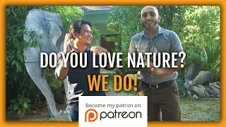 The Patreon Promo for Fauna in Focus