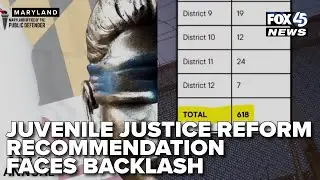 Juvenile justice reform recommendation faces backlash over data accuracy concerns