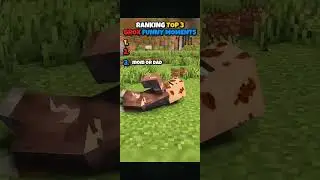 RANKING TOPS 3 GROX FUNNY MOMENTS #grox #groxmc #minecraftmemes #minecraftshorts #funny #funnyshorts