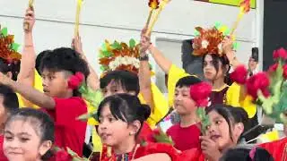 Sinulog in Christchurch  New Zealand. 2026 