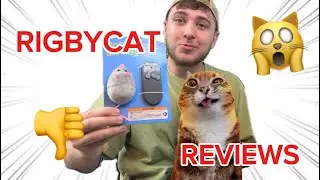 Silly CAT + Silly TOY = ???