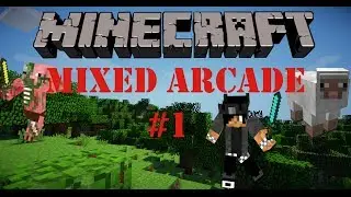 Minecraft: Mixed Arcade #1 