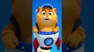 #animals cat viral#cat#videorafi#tocat#story cat#viral#
