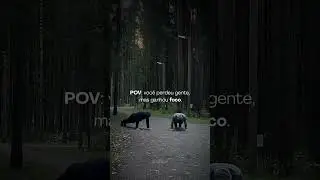Perdi pessoas. Ganhei foco. O resto foi consequ&ecirc;ncia.
