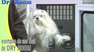 Pet Dry Room - AllCASE