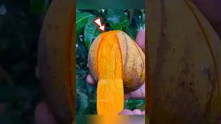 He took this mango fruit 🤯 #shorts #malayalam