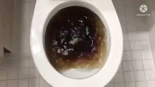 Will It Flush? - Diet Coke Is Reversed And Speeded Up