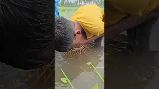 Polo Fishing - Bamboo Tools #fishing