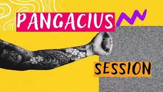 PANGACIUS HAPPY NEW YEAR SESSION 2025