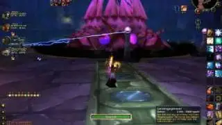 WoW Chelinkas kleine Abenteuer : Tempel Ahn&acute;Qiraj