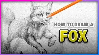 How to Draw a Realistic Fox Step by Step 🦊 | Full-Body Pencil Sketch for Beginners