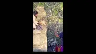 # monkey nay Chenaa chasma#