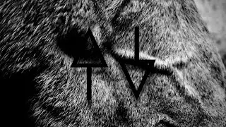 Animal Triste - Afterlife (Official Clip)